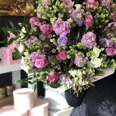 The very very Special One