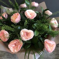 CORAL COUNTRY ROSES