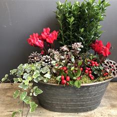 XMAS LUXURY TABLE DISPLAY