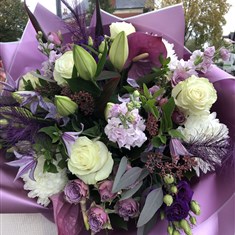 LILAC SURPRISE
