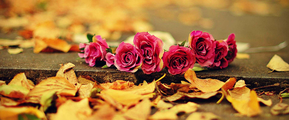 Covent Garden Florist