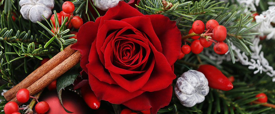 Covent Garden Florist