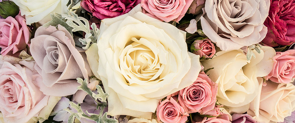 Covent Garden Florist